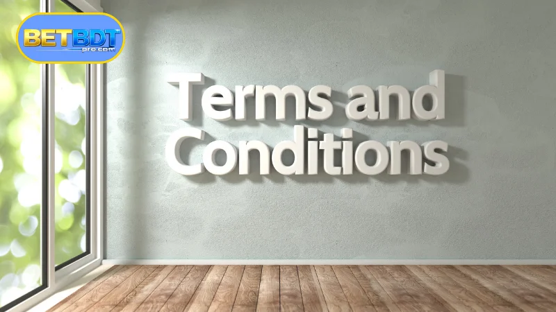 Basic Guide to BETBDT Terms and Conditions