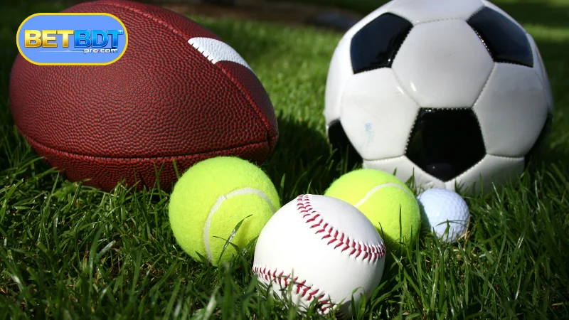 General Introduction to BETBDT Sports