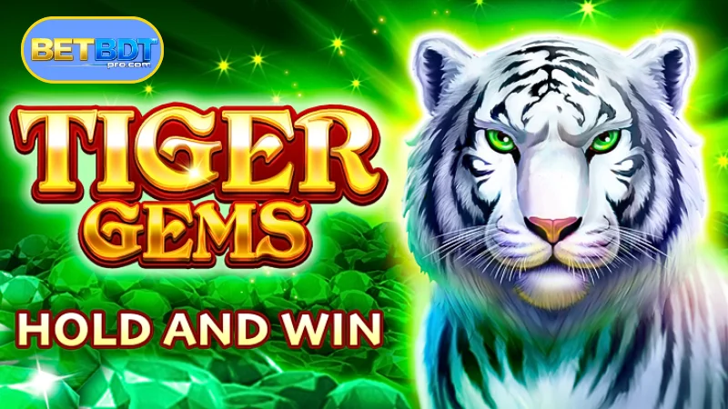Overview of Tiger Gems slot machines