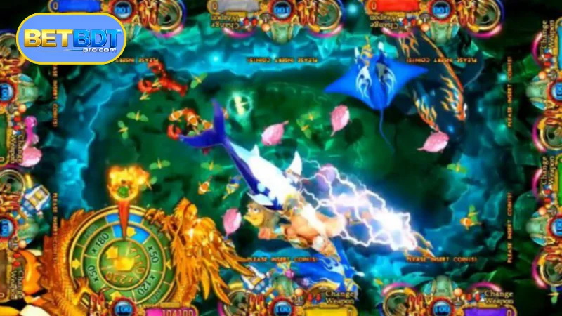 Understanding how Ocean King works at BETBDT